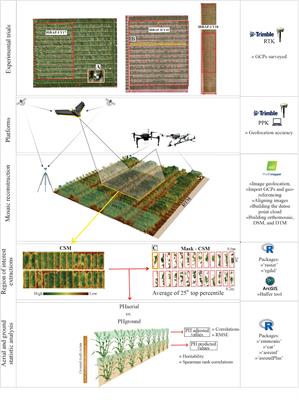 High Throughput Field Phenotyping for Plant Height Using UAV-Based RGB Imagery in Wheat Breeding Lines: Feasibility and Validation